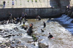 Орловские дайверы очищают от мусора реку Орлик