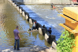 Участники акции пилят 9-метровое бревно, застрявшее в шлюзе плотины